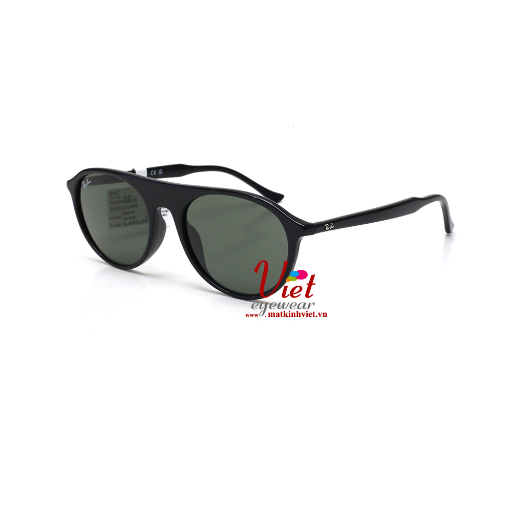 Kính mát RayBan RB2215F 901/31